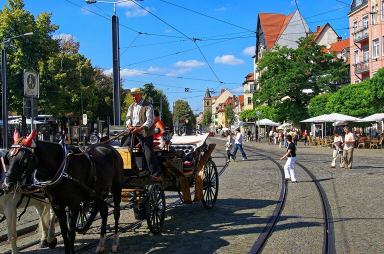 Bürgerfest im Wandel, Erfurt